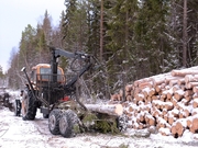 небольшое лесопильное производство