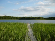 отдых на берегу тихого озера в Беларуссии 