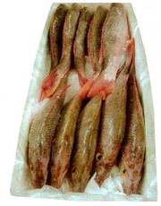 Свежемороженая рыба ОПТОМ (пр-ва Эквадор)