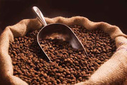    Кофе оптом от производителя   